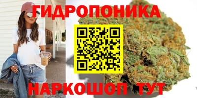 ПСИЛОЦИБИНОВЫЕ ГРИБЫ Новодвинск