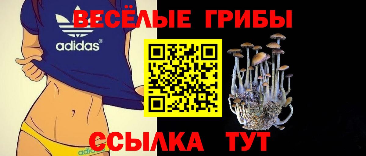 Псилоцибиновые грибы ЛСД Чайковский